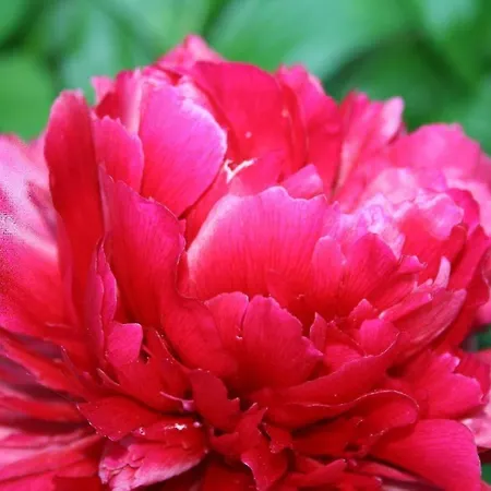 Ferienhof-carstensen-wohnung-leuchtturm * Süderende