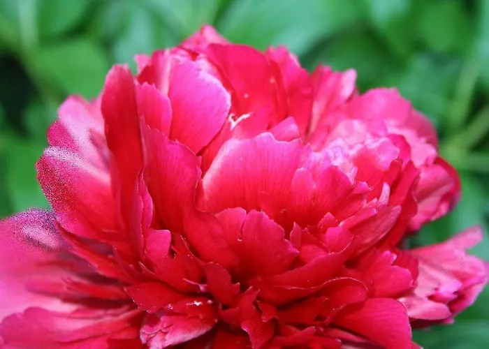 Ferienhof-carstensen-wohnung-leuchtturm * Süderende